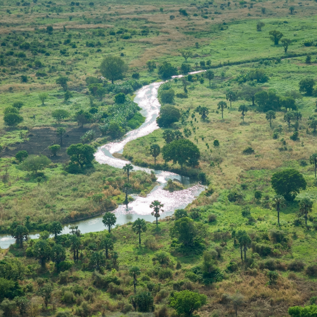 Get South Sudan VISA Online